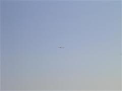 PICT1625.JPG
